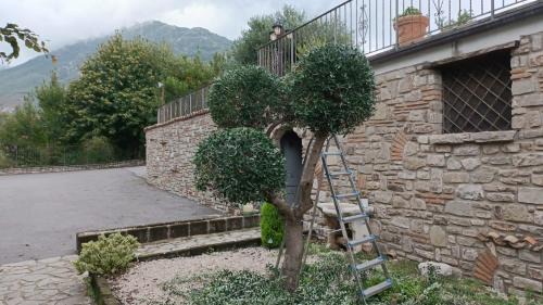 Sopravia House | Country House