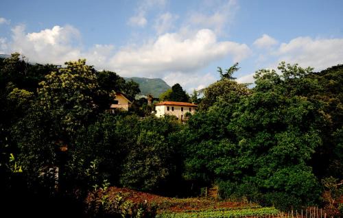 Sezze Bed & Breakfast | COUNTRY HOUSE