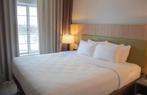 Big Rapids Hotel | Country Inn & Suites by Radisson, Big Rapids, MI