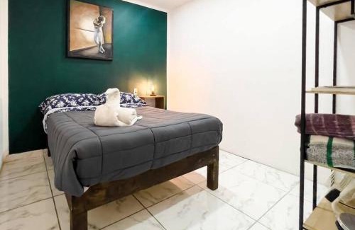 San Luis Potosi Apartment | Cozy Apartment 10 min from downtown