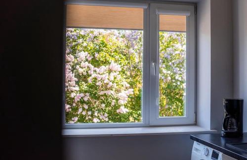 Kardla Apartment | Cozy apartment in the city center of Kärdla
