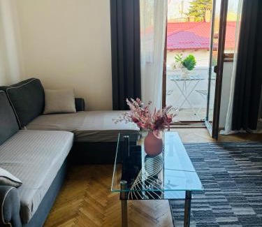 Sector 2 Apartment | Cozy apartment near city center