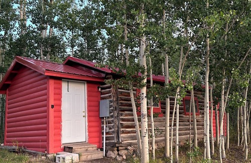 Walden Cabin | Cozy cabin in charming CO mountains near the WY boarder