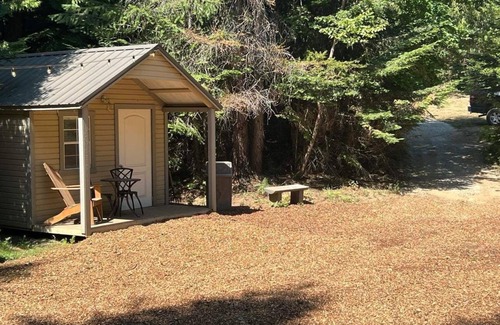 Boundary County Cabin | Cozy cabin in tranquil private forest retreat with miles of private hiking!