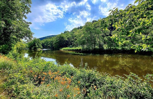 Distant Cabin | Cozy cabin nestled in the valley of the Mahoning Creek