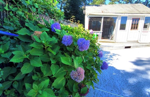 Sagamore House | Cozy Cape Cod House - Stroll or Bike the Canal