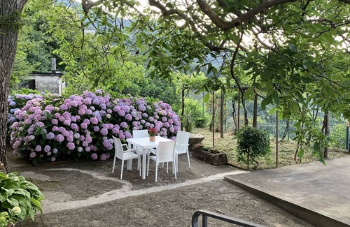 Stella Cilento Apartment | Cozy, comfortable, surrounded by greenery in the historic center