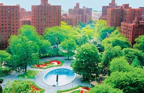 East Bronx House | Cozy Condo Quiet Neighborhood In The Bronx! 30 minutes to Manhattan
