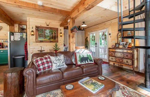 Hague Cabin | COZY CUB CABIN Brookside Lake George, Hot Tub, 24 acres w/Brook