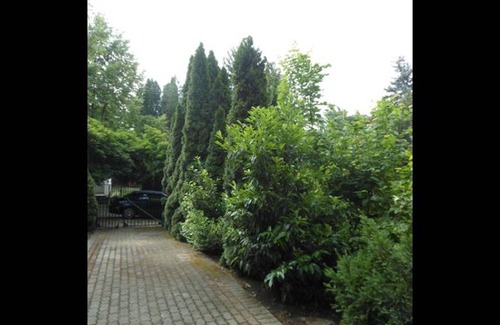 Siofok-Sosto House | Cozy Family Cottage at the Lake