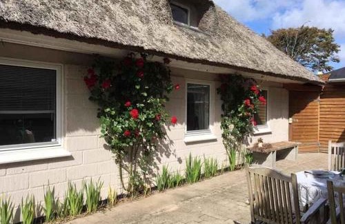 Ertebølle House | Cozy Farmhouse With Fantastic Surroundings