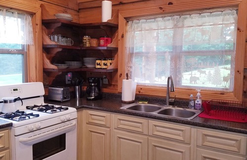 Oneida House | Cozy Forest Cabin on 3 Acres with Hiking, Biking, and Trails.