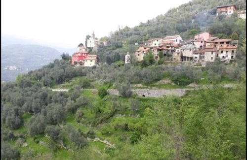 Menegu House | Cozy hillside getaway, spectacular view