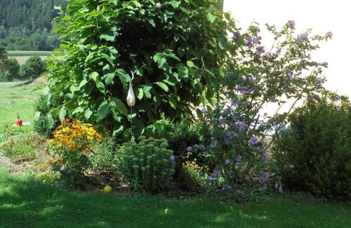 Tannesberg Apartment | Cozy holiday home (90sqm) with panoramic views of a farm