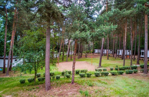 Swiecie House | Cozy home in Sulnowo with sauna