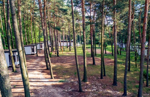 Swiecie House | Cozy home in Sulnowo with sauna