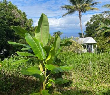 Honaunau-Napoopoo House | Cozy jungle boat hideaway with stunning ocean view