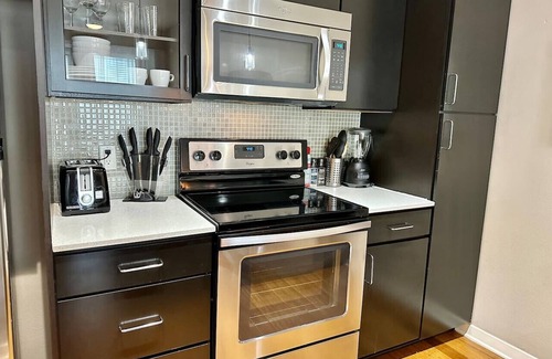 Texas Medical Center Apartment | Cozy Mid Century Modern |MD Anderson| FREE Parking