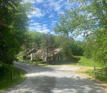 Hancock House | Cozy Mountain Cabin in Berkshire Resort - LABOR DAY SALE
