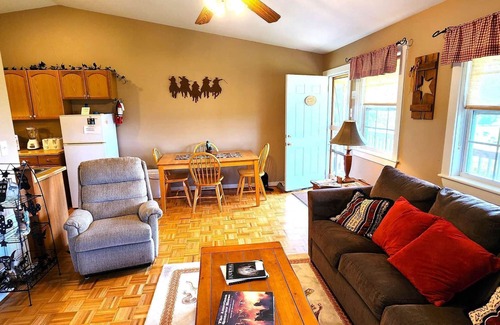 Stanley Cabin | Cozy mountain cabin on a horse ranch with GORGEOUS views and easy river access!