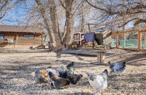 Parowan Apartment | Cozy Parowan Studio: 12 Mi to Brian Head Resort!