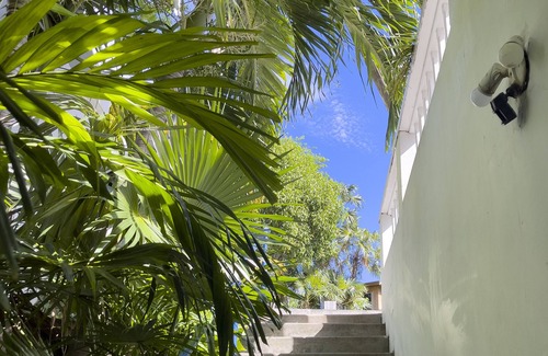 Contant Farms Apartment | Cozy, quiet, and safe Studio Apartment - 5 minute walk to Cruz Bay!