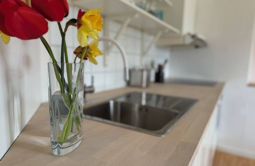 Animskog Apartment | Cozy studio in an old school by the lake for 2 people with full kitchen