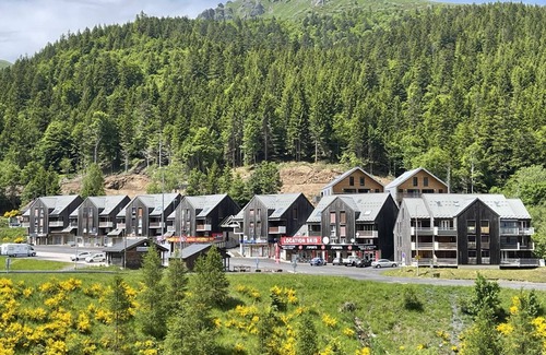 Laveissiere Apartment | Cozy studio with terrace in Le Lioran, pets welcome