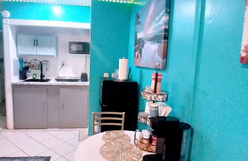 Lutz Apartment | Cozy studio with WiFi and AC and in lovely Lutz! its family and pet friendly.