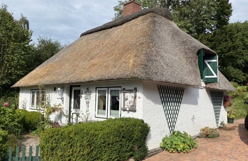 Dorpling House | Cozy thatched roof house for sole use. Pet friendly!