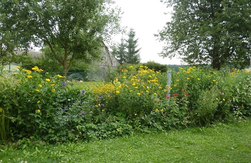 Großdietmanns Apartment | Cozy vacation apartment (55sqm) with terrace and free wifi