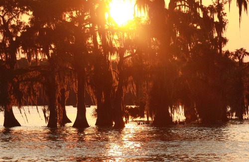 Pierre Part Apartment | Cozy waterfront studio apartment with a covered deck on Bayou Pierre Part.