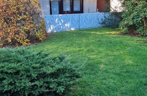 Ludwigswinkel Condo | Cozy, well-equipped 1-room vacation apartment in the middle of nature
