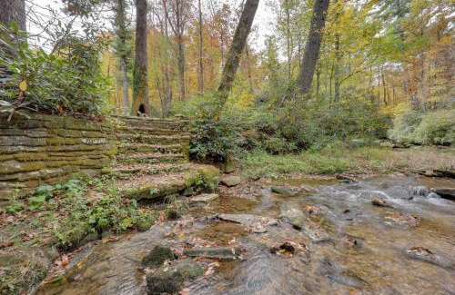 Newland House | Creekside Newland Cabin about 7 Mi to Linville Falls