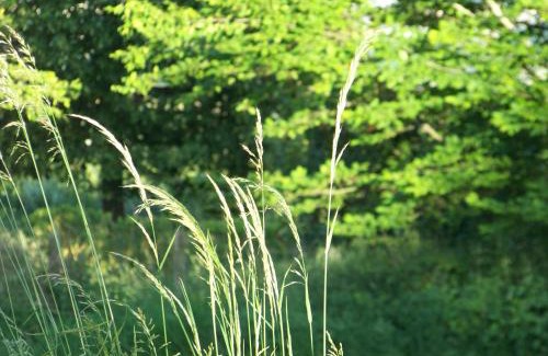 Cellieu Bed & Breakfast | Croix Blanche