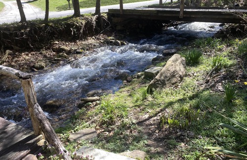 Canton Villa | Cruso Creek(Villa 2) - Creek, Hot Tub, Fireplace, Near Asheville, View, WiFi