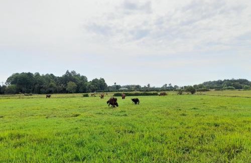 Cu Chi House | Cu Chi Boutique Farm
