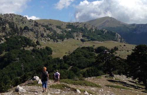 Viggianello House | "CUORE DEL POLLINO" Locazione turistica