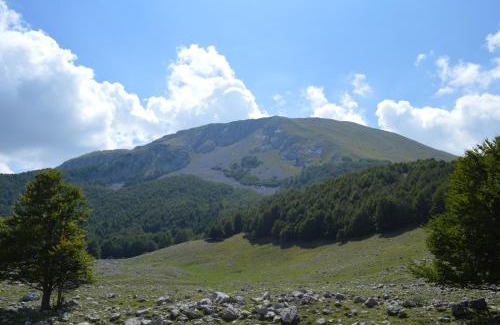 Viggianello House | "CUORE DEL POLLINO" Locazione turistica