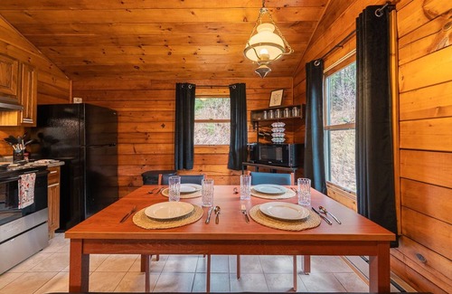 Mills Cabin | Custom Log Cabin #2 | Denton Hill State Park