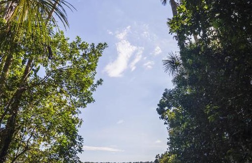 Tarapoa Cabin | Cuyabeno Nature Eco Lodge