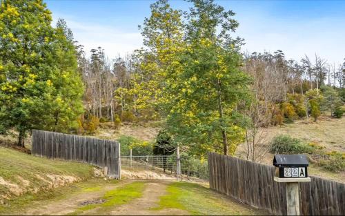 Cygnet House | Cygnet Valley Hideaway by Tiny Away
