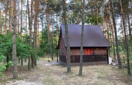 Lochow House | Czekoladowy Domek