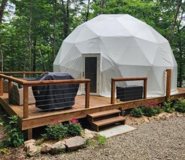 Brownsburg-Chatham House | Dôme Le Scandinave