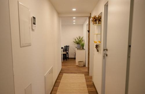 Rettenbach Apartment | D'obra Hopf