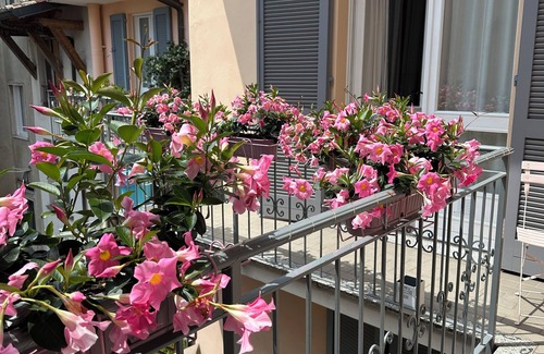 Crema Apartment | D-PLACE APARTMENT PIAZZA DUOMO