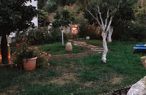 Bottidda House | DA LAURA