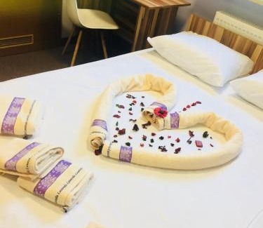 Checiny Hotel | Da Vinci