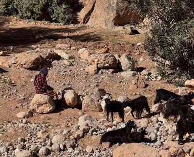 Ait Sedrate Jbel El Soufla Other | Dades mountain camp