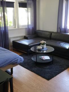 Tokke Apartment | Dalen studio 3
